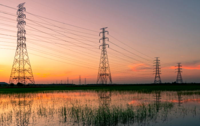 electrical-transmission-lines-spanning-across-field-and-swamp