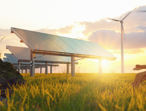 Understanding Renewable Energy Certificates (RECs) & How They Apply To Your Business