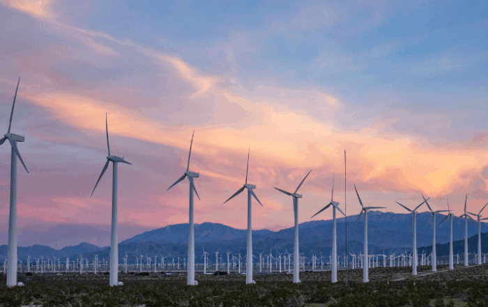 wind-farm